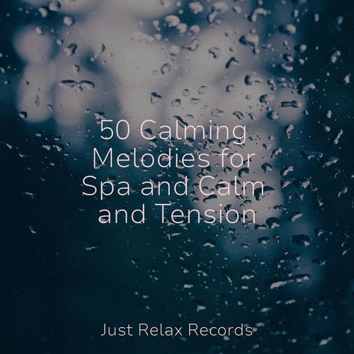 50 Calming Melodies for Spa and Calm and Tension