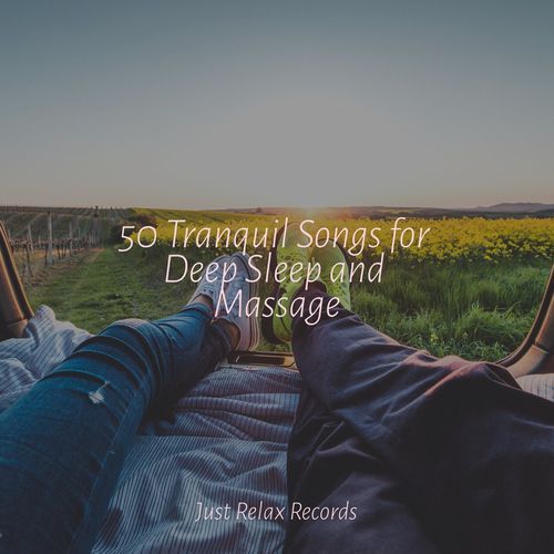 50 Tranquil Songs for Deep Sleep and Massage