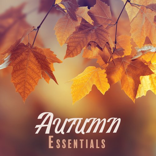 Autumn Essentials: Fall Vibes and Autumnal Mood with Jazz Music