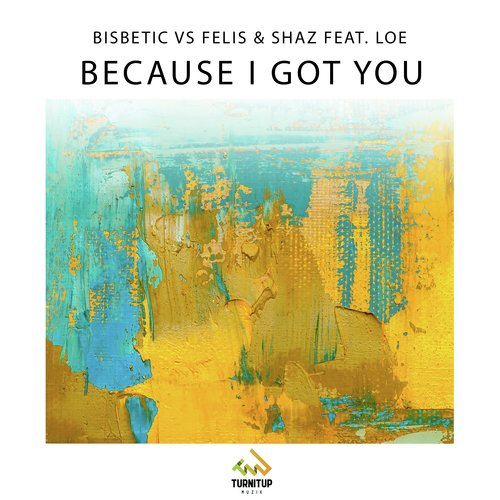 Because I Got You_poster_image