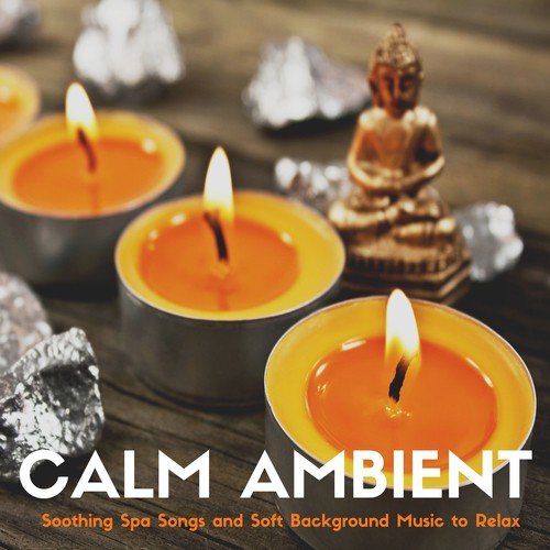 Calm Ambient - Soothing Spa Songs and Soft Background Music to Relax