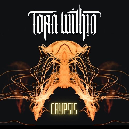 Crypsis cover art