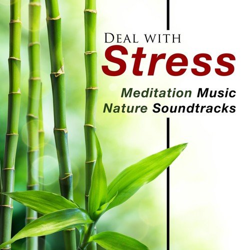 Deal with Stress - Meditation Music and Soothing Nature Soundtracks to Learn to Relax and Manage your Stress and Anxiety and Lower your Blood Pressure