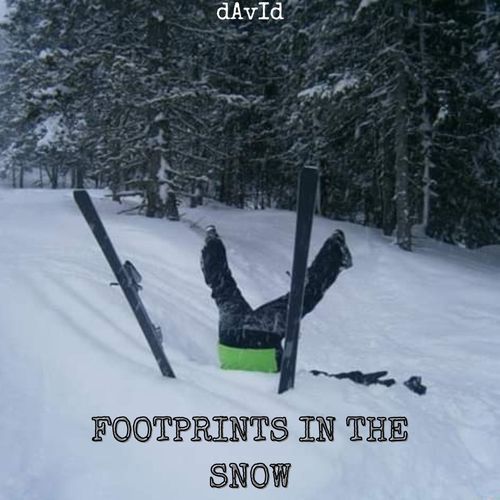 Footprints in the Snow cover art