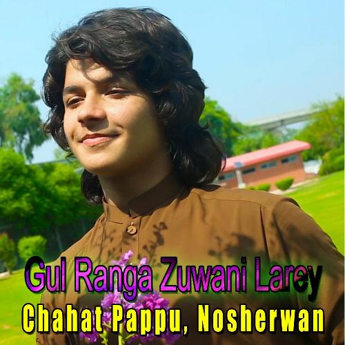 Gul Ranga Zuwani Larey_poster_image