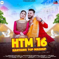 Haryanvi Top Mashup 16