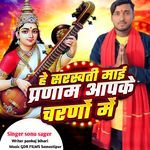 He Sarswati Mai Pranam Apke Charno Me