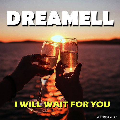 I Will Wait for You_poster_image