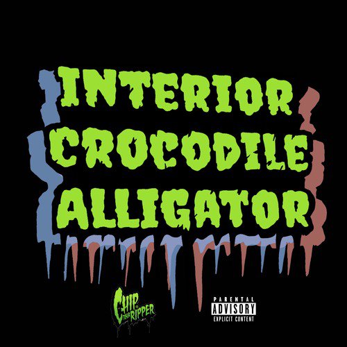 Interior Crocodile Alligator