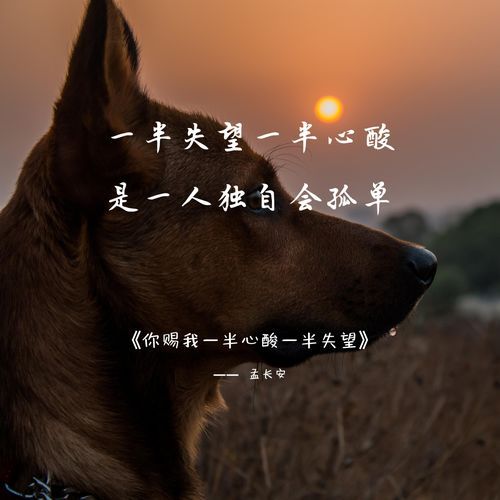 你赐我一半心酸一半失望 cover art
