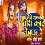 Mene Samnwa Tora Kat Lebau Re