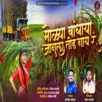 Molya Bandhaya Janula Tod Naay R