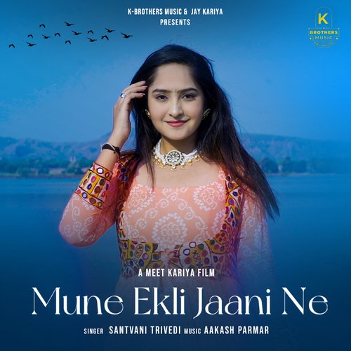 Mune Ekli Jaani Ne_poster_image