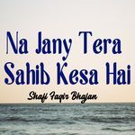 Na Jany Tera Sahib Kesa Hai