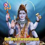 Om Sree Parabrahmam