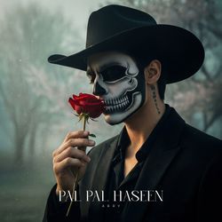 Pal Pal Haseen