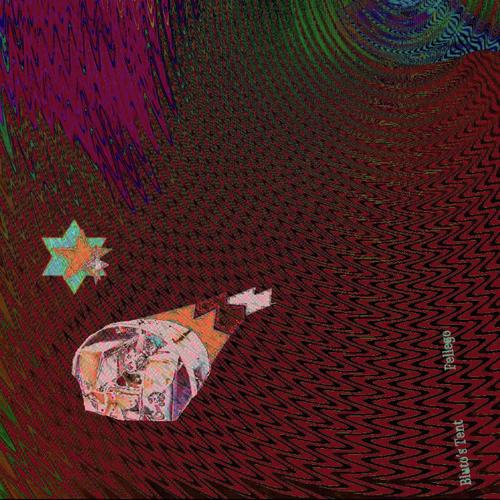 Bullish cover art