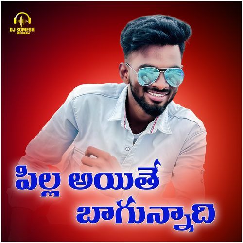 Pilla Ayithe Bagunnadhi cover art