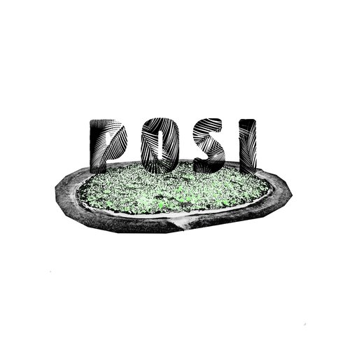Posi cover art