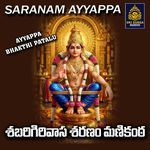 Sabarigirivasa Saranam Manikanta