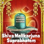 Mallikarjuna Suprabhatam