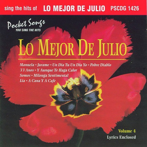 The Hits of Lo Mejor De Julio, Vol. 4