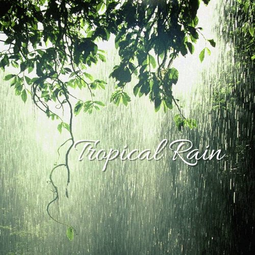 Tropical Rain