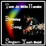 Tum Jo Mile Humko