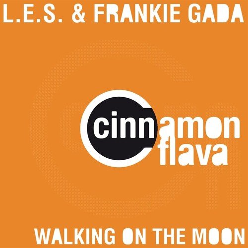 Walking on the Moon (Original Mix)