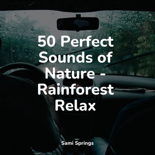 50 Perfect Sounds of Nature - Rainforest Relax_poster_image