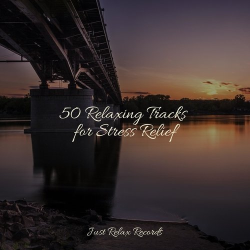 50 Relaxing Tracks for Stress Relief