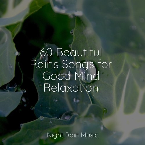 60 Beautiful Rains Songs for Good Mind Relaxation