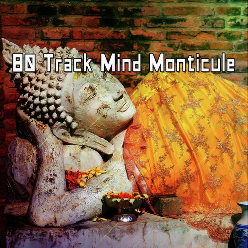 80 Track Mind Monticule