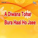 A Diwana Tohar Bura Haal Ho Jaee