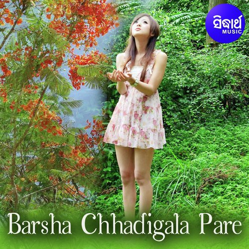 Barsha Chhadigala Pare_poster_image