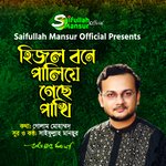 Hijol Bone Paliye Geche pakhi