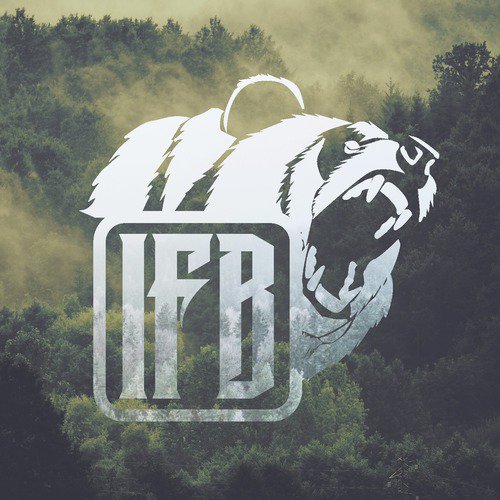 Lost the Fight cover art