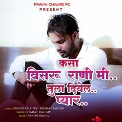 Kasa Visru Rani Mi Tula Diyel Pyar