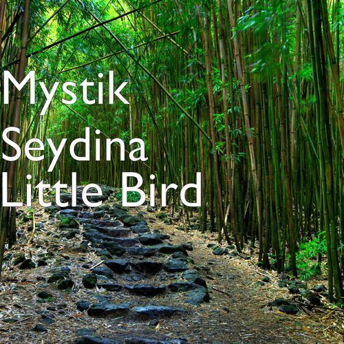 Little Bird cover art