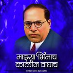 Majhya Bhimach Kalij Waghach (DJ Remix)
