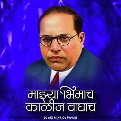 Majhya Bhimach Kalij Waghach (DJ Remix)