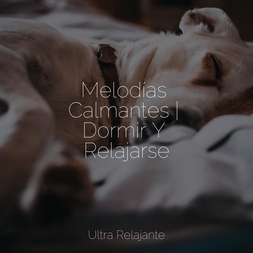 Melodías Calmantes | Dormir Y Relajarse