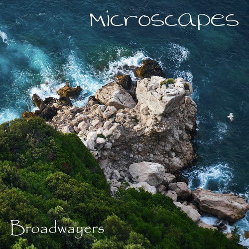 Microscapes