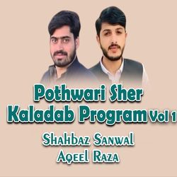 Pothwari Sher Kaladabb-ASYDfgVqUmU