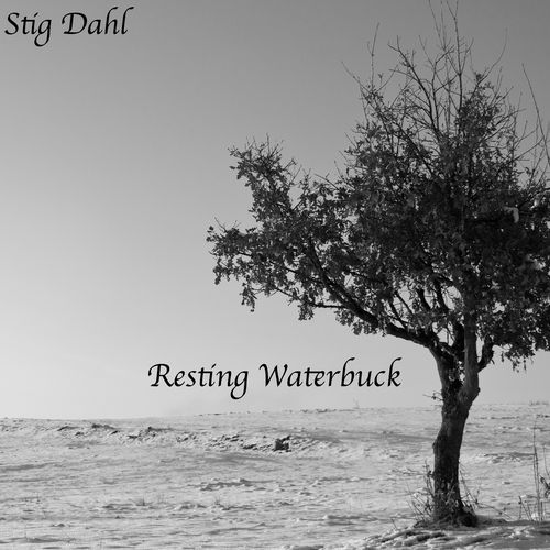 Resting Waterbuck cover art
