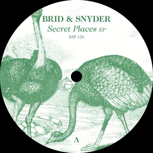Brid & Snyder