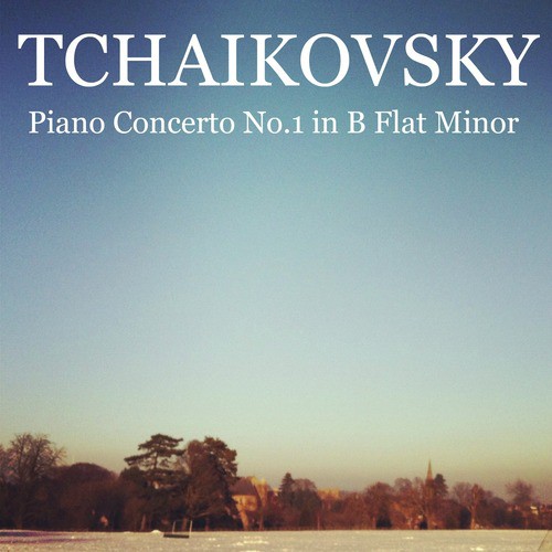 Piano Concerto No. 1 in B Flat Minor, Op. 23: Allegro mon Troppo e Molto Maestoso - Allegro con Spirito