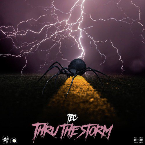 Thru the Storm_poster_image