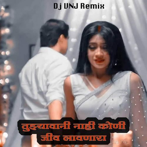 Tujhyavani Nahi Kuni Jiv Lavnara (Dj Vnj Remix)