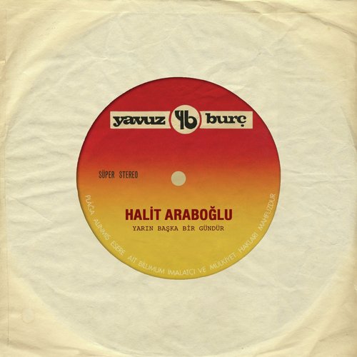 Halit Araboğlu